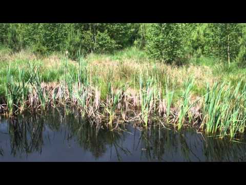 Landkreis Uckermark -ANGREMÜNDE