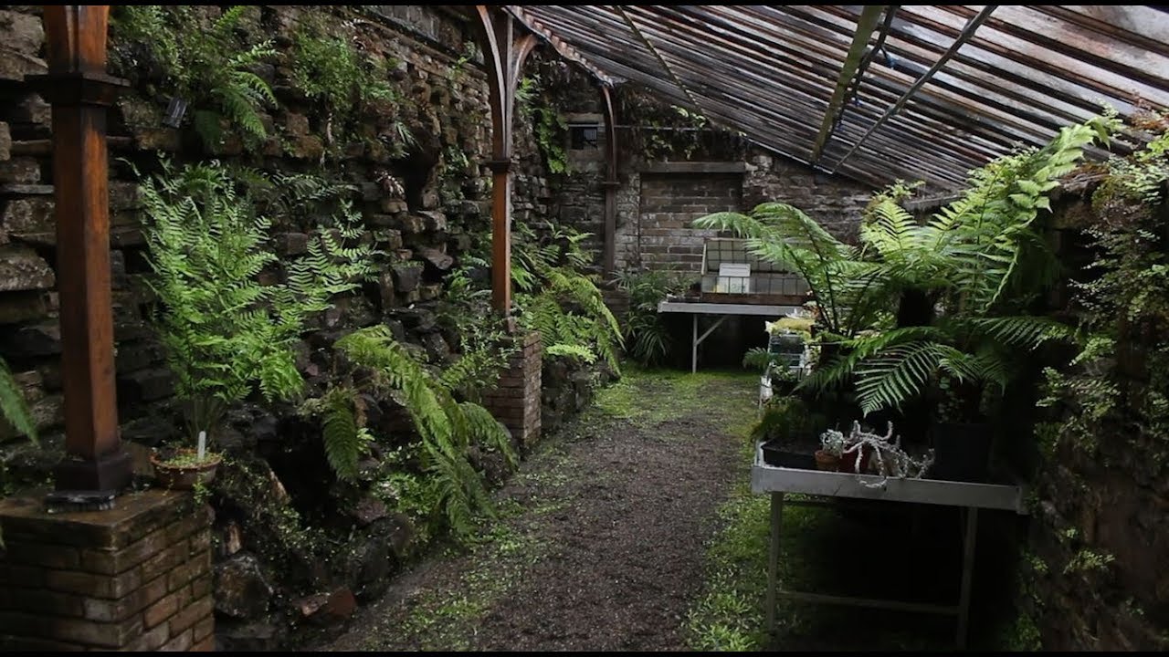 A conservation officer at the Botanic Gardens on how we can help save the planet