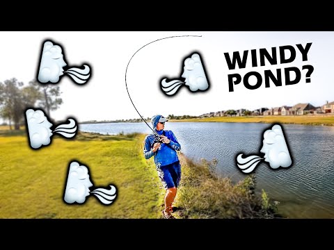 The BEST LURE For Pond Bass Fishing In WIND?