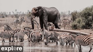 Central · Gweta · Kalahari Salt Pan live stream