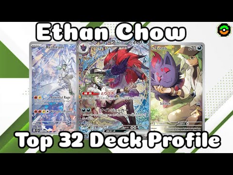 Pokemon TCG // Ethan Chow's Top 32 N's Zoroark // Birmingham Regionals Deck Profile