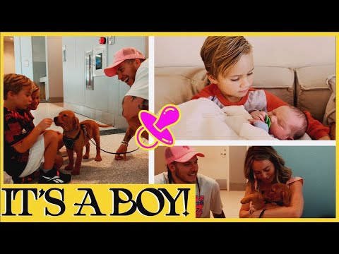 EP. 5 || IT'S A BOY!