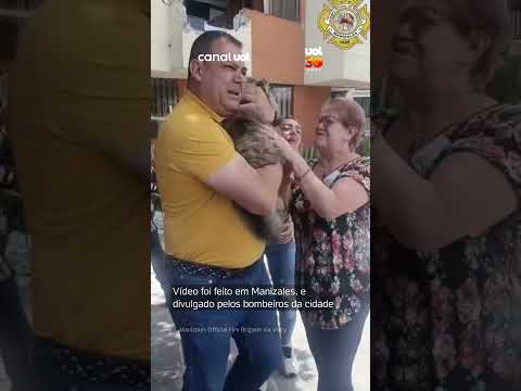 Bombeiros resgatam gato e emocionam dono após terremoto na Colômbia