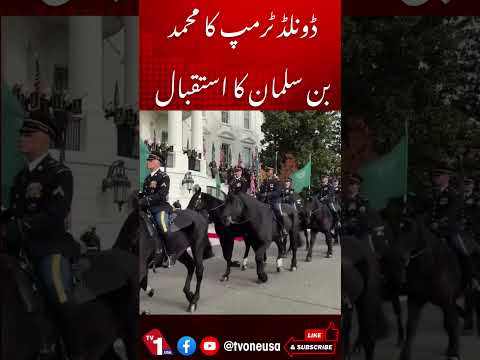 صدر ٹرمپ کا محمد بن سلمان کا استقبال