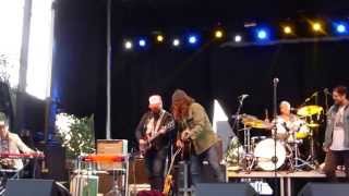 Junkhouse "Shine" Live Hamilton Festival of Friends August 8 2015