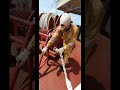 Fire Hose Binding Onboard