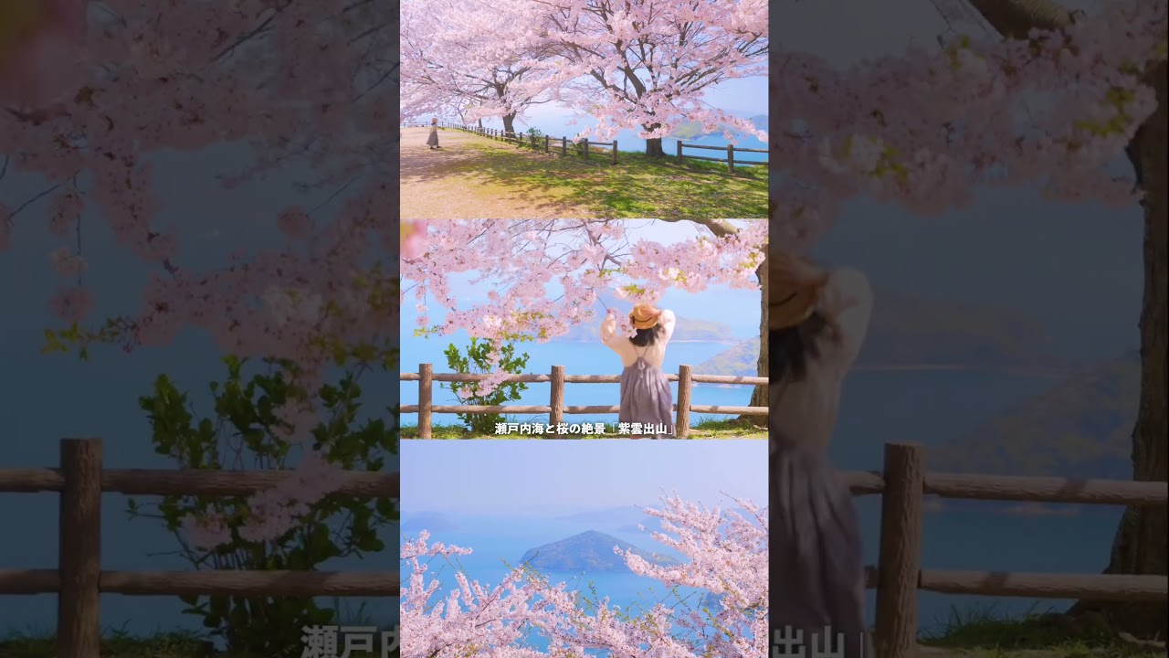 この春絶対見に行きたい！三豊の絶景スポット3選