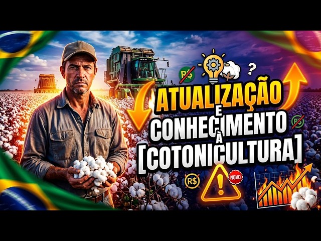 Circuito Técnico Amipa 2026 leva atualização e conhecimento à cotonicultura em Várzea da Palma.