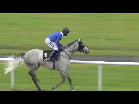 BAKER McVEIGH INTERNATIONAL HANDICAP STAKES 0-105