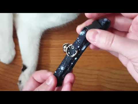 How to Adjust Your Cat Collar from Kira's Pet Shop