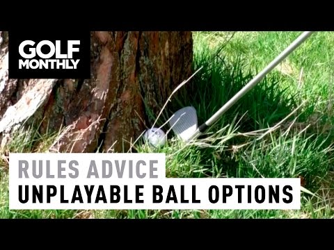 Rules Advice - Unplayable Ball Options
