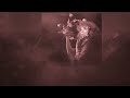Stevie Nicks - Nightbird