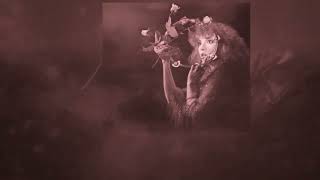 Stevie Nicks - Nightbird