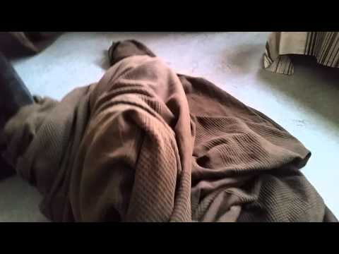 Såhär tycker Felix om dagens väder...