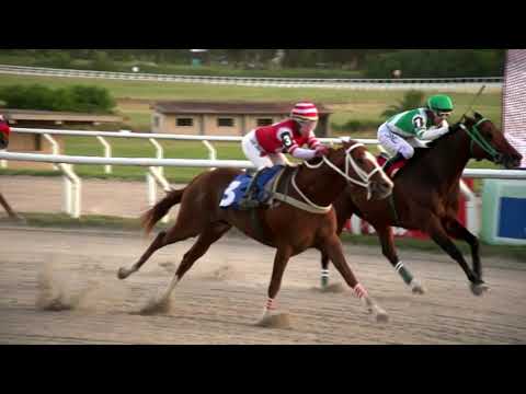 CARRERAS HIPODROMO LAS PIEDRAS - 211112 c10 1° BUDAPEST