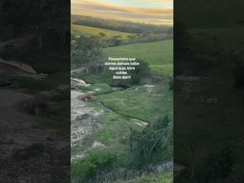 Sítio espinheiro/Feira Grande-AL#nordeste #alagoas #fazenda #pecuarista #viral #shorts #viralvideo