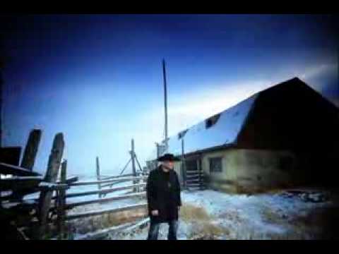 GORD BAMFORD LITTLE GUY.