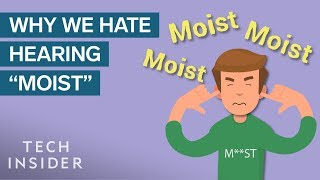 Science Of Why People Hate The Word &#39;Moist&#39;