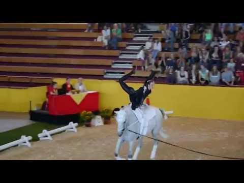 Deutsche Meisterschaft Voltigieren Alsfeld 2015 - Kür Team Oldenburg 1 (Samstag)