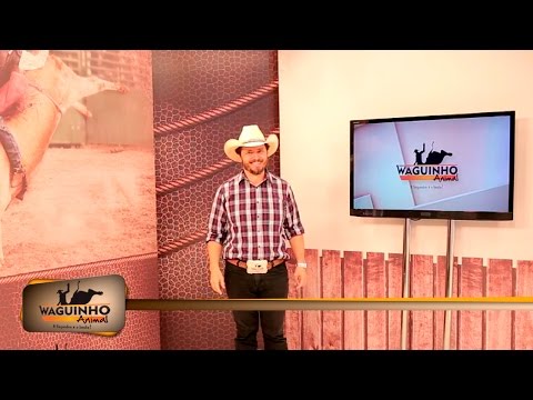 Waguinho Animal 29/10/16 na íntegra | Rodeio em Riolândia 2016