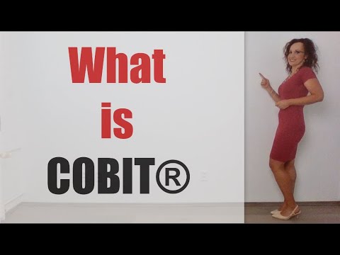 What is COBIT