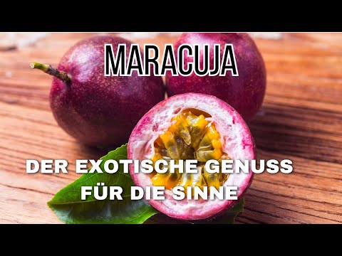 Wissenswertese über Maracuja 🤩
