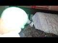 Luigi Reacts To Some Kids Video