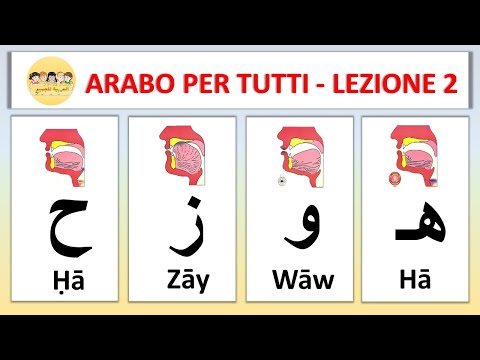 Arabo Per Tutti - Corso di Arabo Gratis -  Lezione 02 - l'alfabeto - lettere ه و ز ح