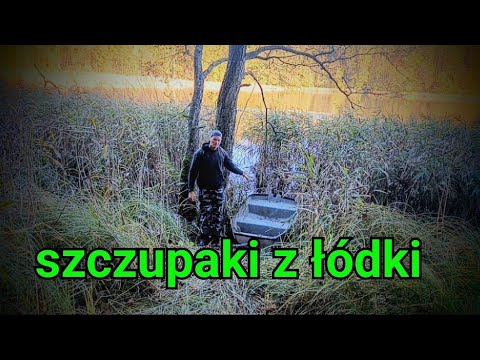 Pike from a boat on live bait, Wonski sailor 😁 #fish