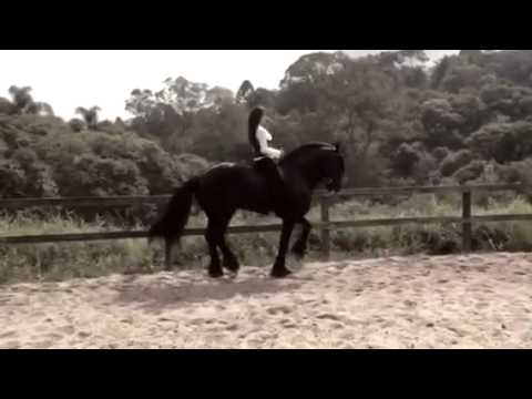 Artistic Dressage