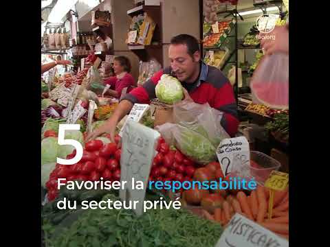 Action climatique et droits humains : construire des systèmes agroalimentaires durables