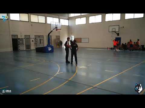 JUNIOR FEMENINO: CB 7 Palmas - CB ULPGC