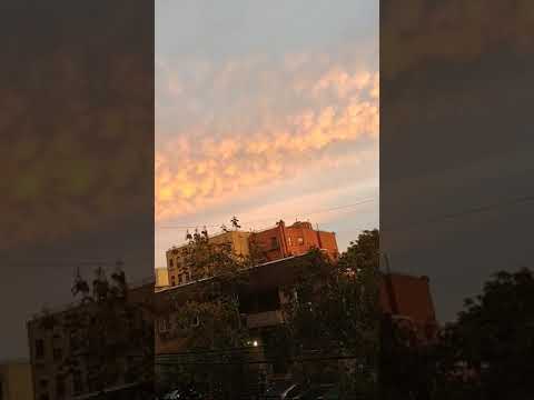 Good Morning ! Bronx