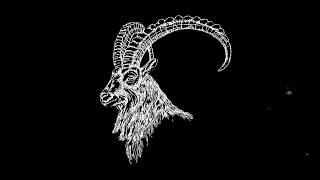 Letra/Tradução In the Shadow of the Horns - Darkthrone