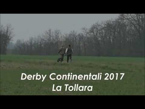 Zobel di Costa Rubea (Drahthaar) - Derby Continentali 2017