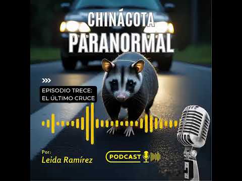 El último cruce/ La lucha por proteger la fauna silvestre en Chinácota/ Pódcast ambiental