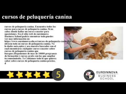 Cursos Youtube Online Euroinnova