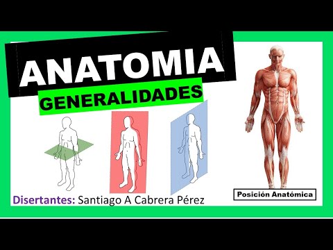 ▌ANATOMÍA ▌INTRODUCCIÓN Y GENERALIDADES (Posición Anatómica - Planimetria)  ▌💀