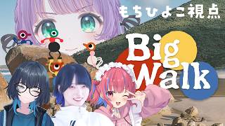 【Big Walk】お散歩、チル、パズル、迷子…そしてお友達…！【もちひよこ】