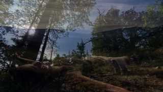 Pink Floyd - Lost for Words