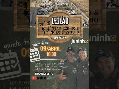 Leilão Parceria SR de Itarumã-GO, Kiko Castilho e Itamirzinho