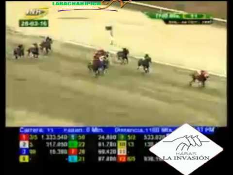 LA RINCONADA 11 CARRERA, DOMINGO 28 DE FEBRERO DEL 2016