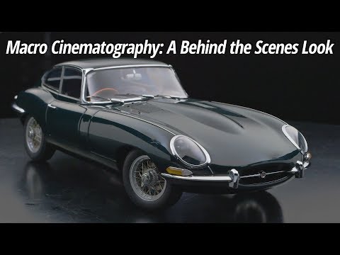 Macro Cinematography | A Behind the Scenes Look