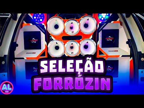 FORRÓZIN SELECIONADO 2K24 - CD AGOSTO 2024 - AS MELHOREA MAIS TOCADAS - MÚSICAS NOVAS - PRA PAREDÃO