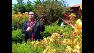 Qani Troka - E Diela Erdhi Prap