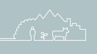 Pan-European Commission on Health and Sustainable Development makes re