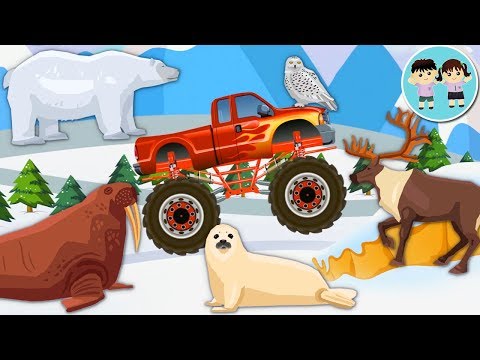 Camionul Monstru si Animalele Polare - Capsulele Secrete