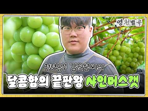 그의 달콤한 도전은 계속된다! | 영천별곡 5화