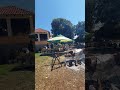 PUPNATSKI VOL PUPNAT Otok Korčula