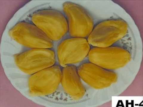 ফলের ইনপ্রোভিগেশন, BARI